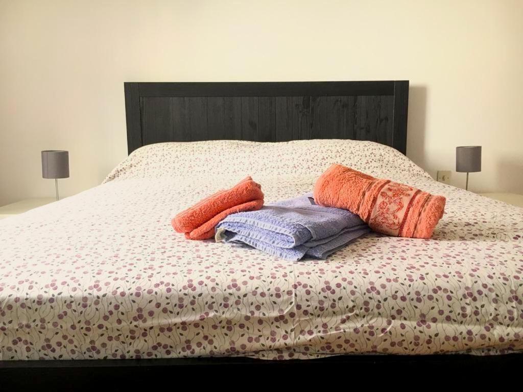 Apartament Santa Teresa 15\2 Turyn Zewnętrze zdjęcie